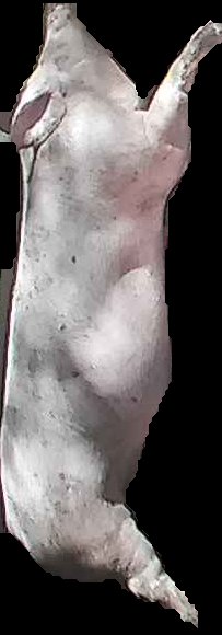 Crop