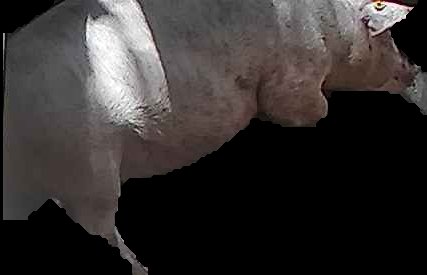 Crop