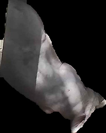Crop