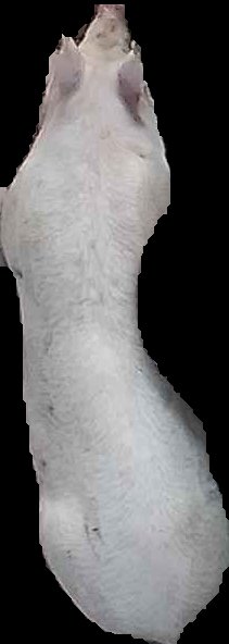 Crop