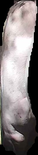 Crop