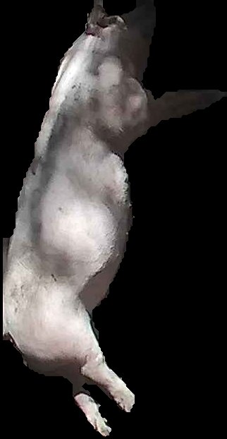 Crop