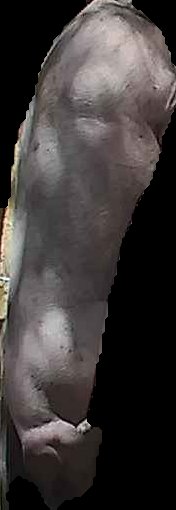 Crop