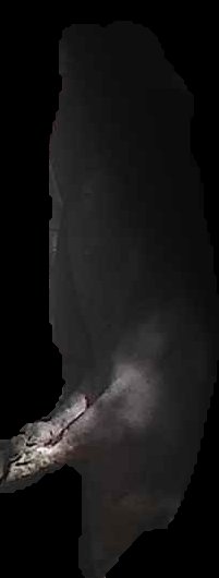 Crop