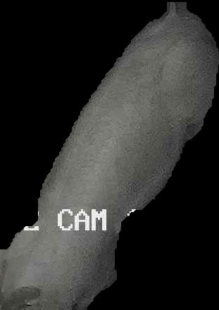 Crop
