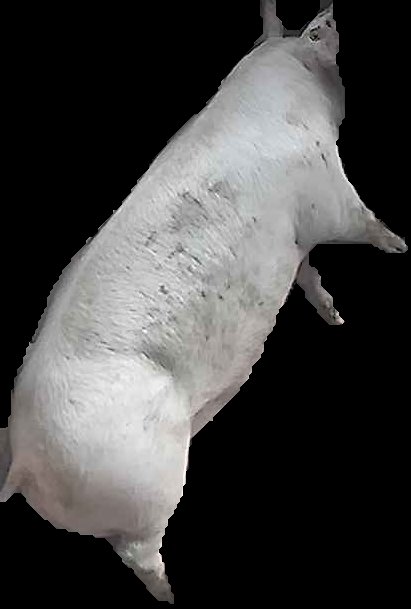 Crop
