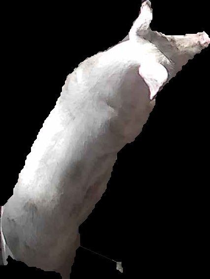 Crop