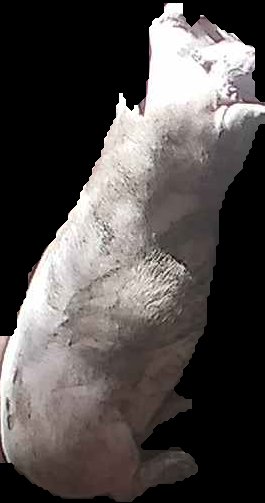 Crop