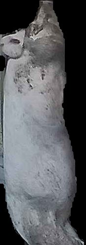 Crop