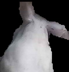 Crop