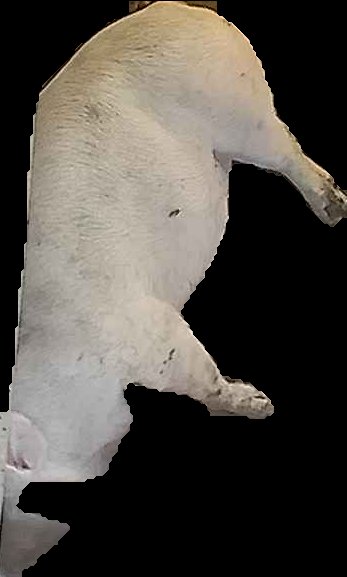 Crop