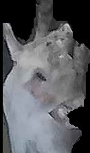 Crop