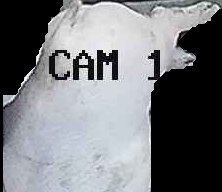 Crop