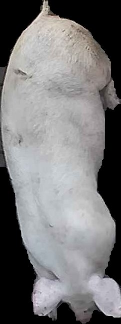 Crop