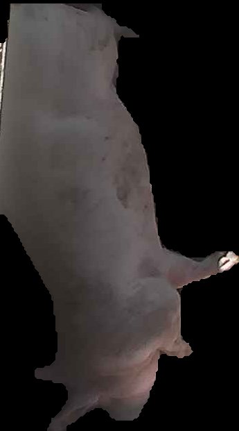 Crop