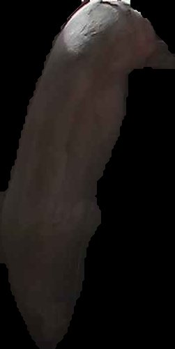 Crop