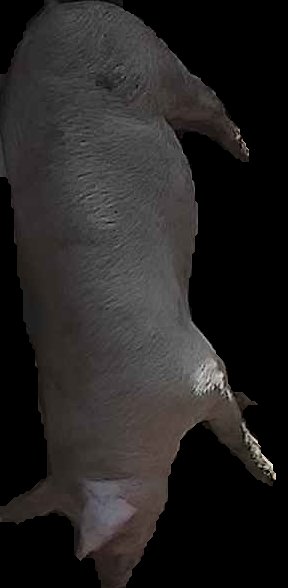 Crop