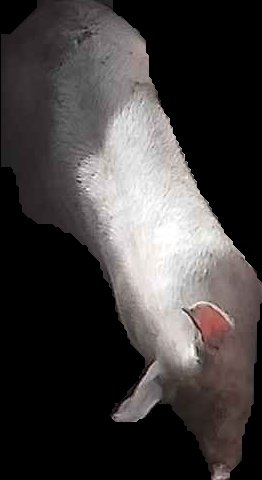 Crop