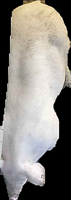 Crop