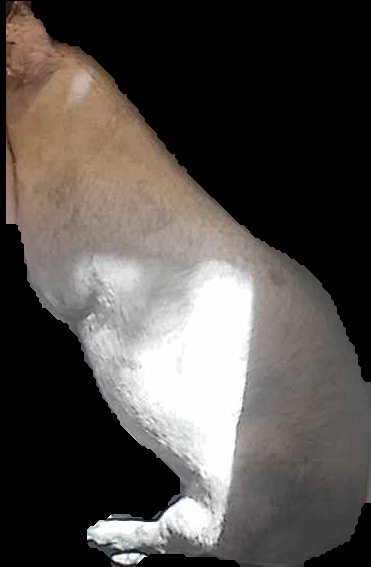 Crop