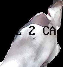 Crop