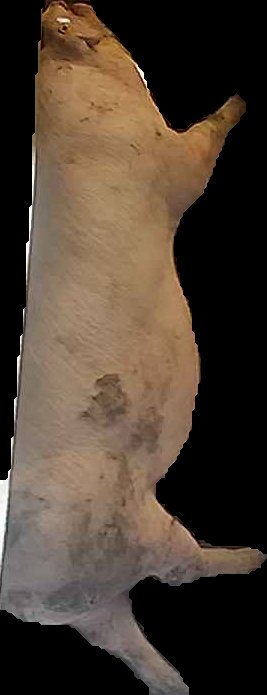 Crop