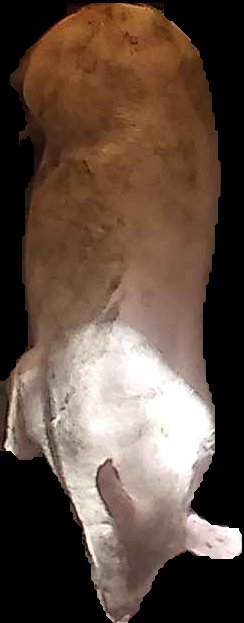 Crop