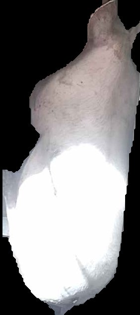 Crop