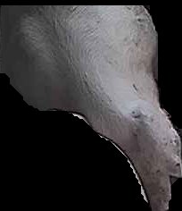 Crop