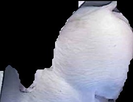 Crop