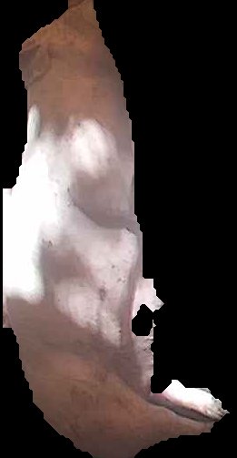 Crop