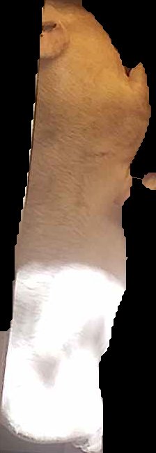 Crop