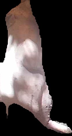 Crop