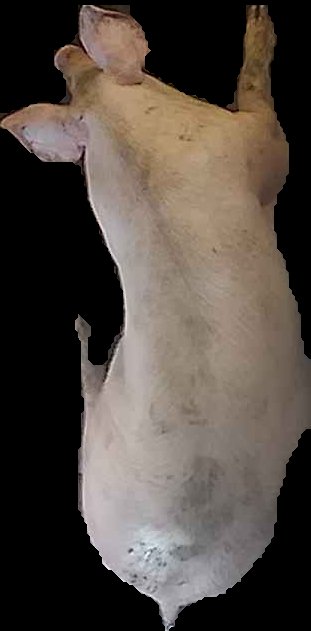Crop