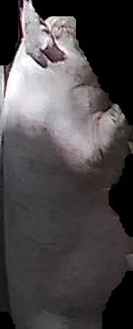 Crop