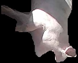 Crop