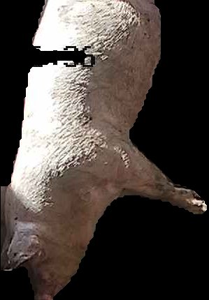 Crop