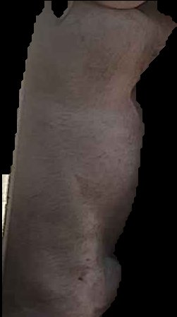 Crop