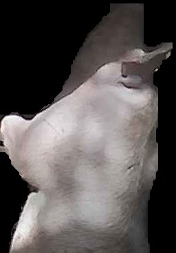 Crop