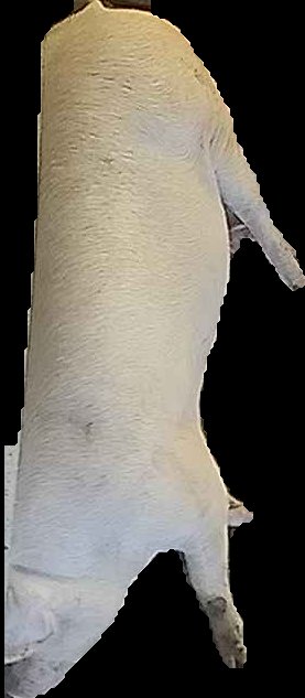 Crop