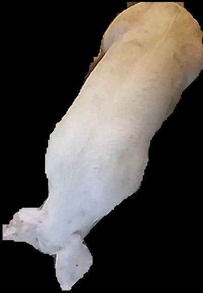 Crop