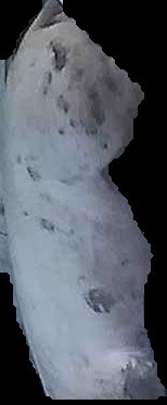 Crop
