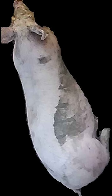 Crop