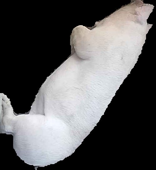 Crop