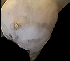 Crop
