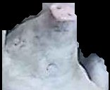 Crop