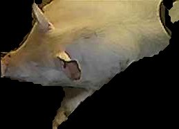 Crop