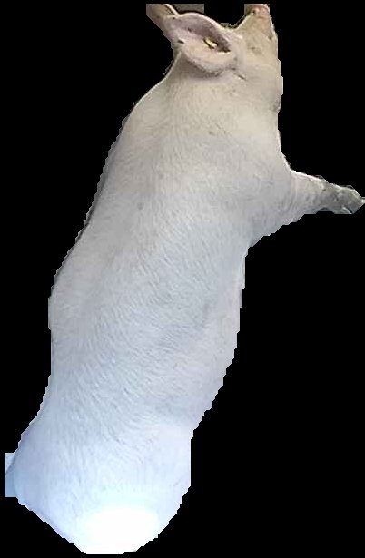 Crop