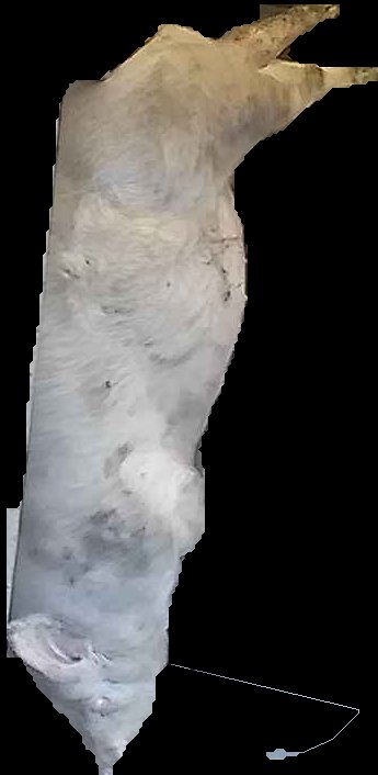 Crop