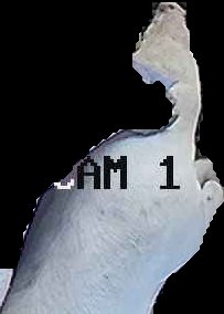 Crop